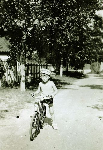 Jean-Claude allée d'Aunis bordée de peupliers