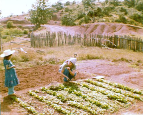 Anne cultive le potager à Buenos Aires