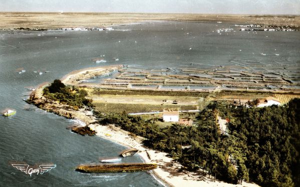 Vue aérienne du Mus de Loup, on aperçoit des bateaux hors