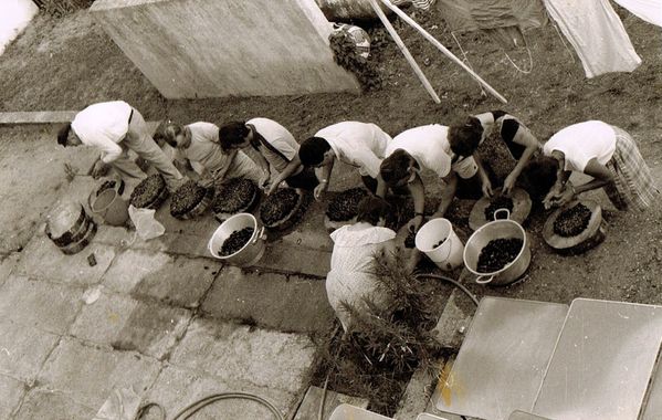 Préparation d'une terrée pour la Favac