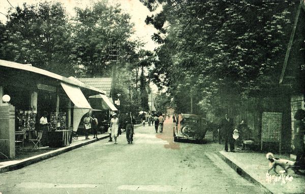 Avenue Gabrielleavant guerre. Le petit Ronce occupera la de