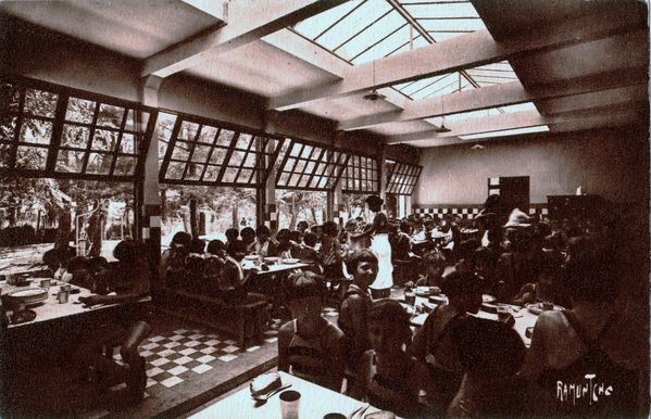 p Cantine de la Druide