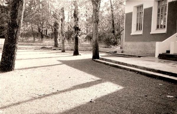 empierrement de la cour