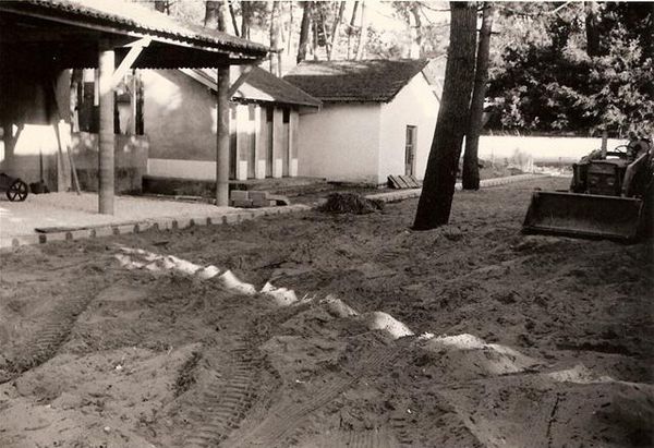 aménagement de la cour 1966