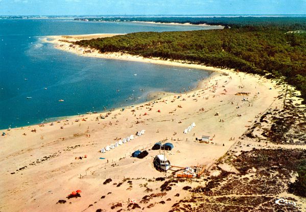 galon d'or,embellie,pointe (52)