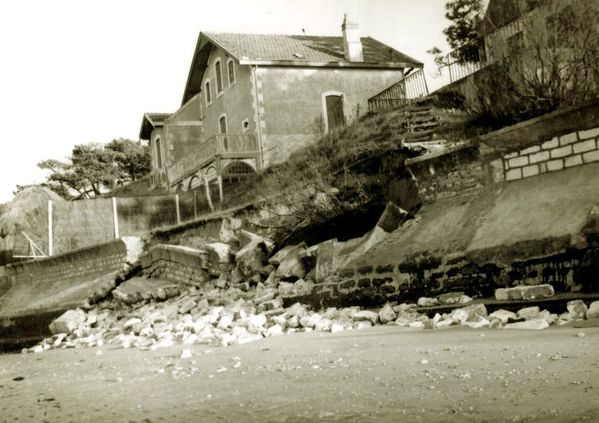 ronce collection c roy 030