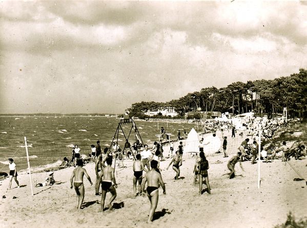 Filet de volley du club des Dauphins