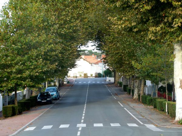La boulangerie à l'extrémité de la belle avenue de Sain